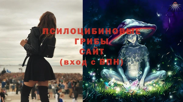 PSILOCYBIN Нязепетровск