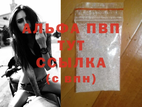 PSILOCYBIN Нязепетровск