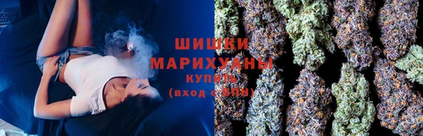 PSILOCYBIN Нязепетровск