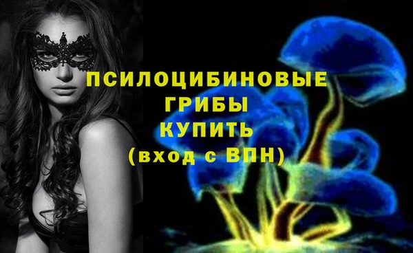 PSILOCYBIN Нязепетровск
