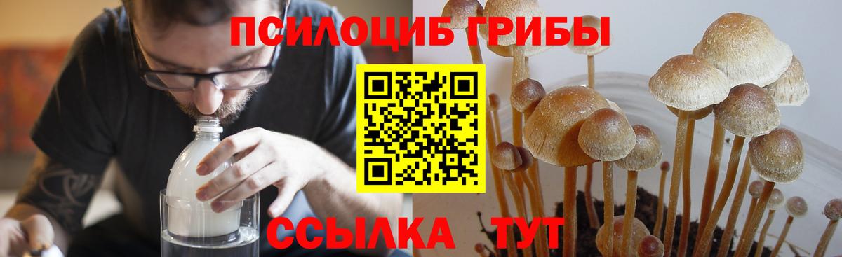 Галлюциногенные грибы ЛСД  Вход с VPN  Шали  Псилоцибиновые грибы мухоморы 